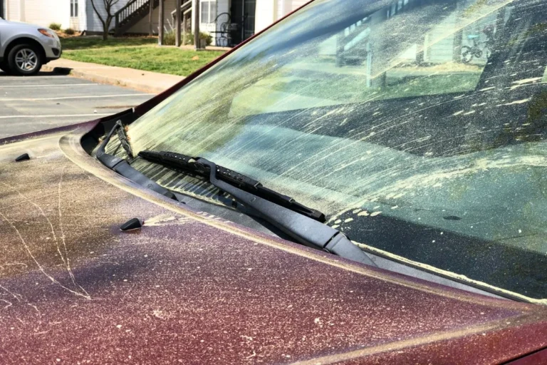 Pollen et carrosserie